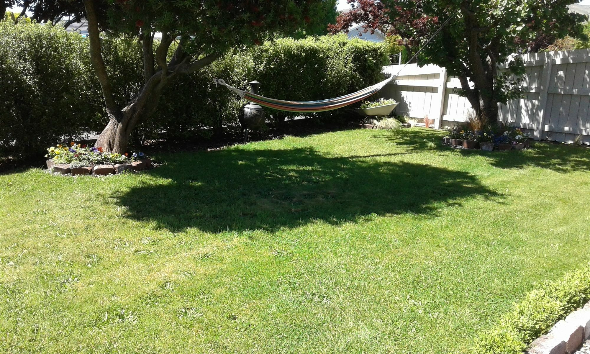 Coeden Cottage Blenheim Luaran gambar