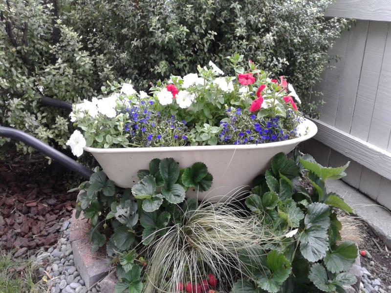 Coeden Cottage Blenheim Luaran gambar